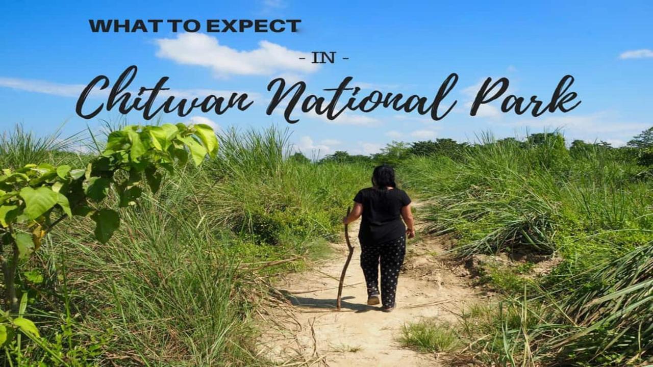 Hotel National Park Sauraha- Homely Stay And Peaceful Location With Jungle Safari Arrangements Exteriér fotografie