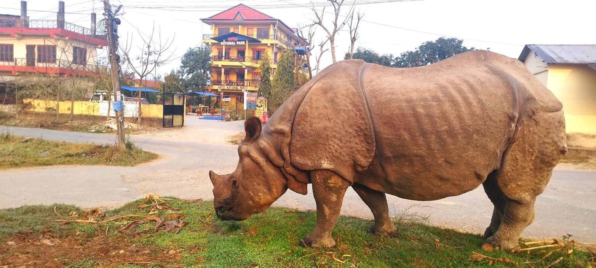 Hotel National Park Sauraha- Homely Stay And Peaceful Location With Jungle Safari Arrangements Exteriér fotografie