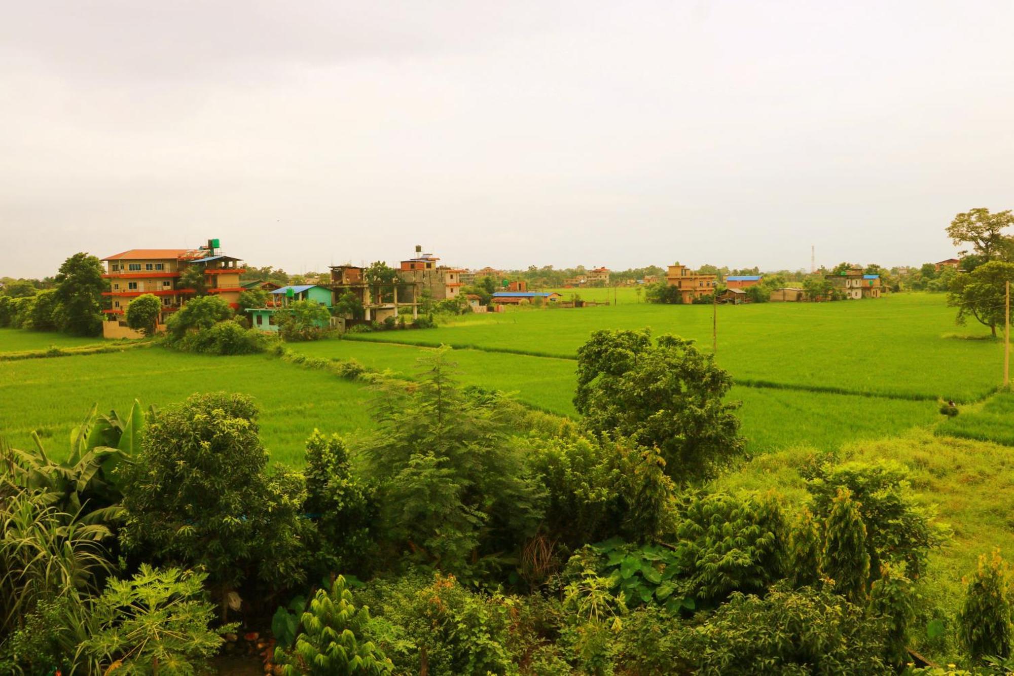 Hotel National Park Sauraha- Homely Stay And Peaceful Location With Jungle Safari Arrangements Exteriér fotografie