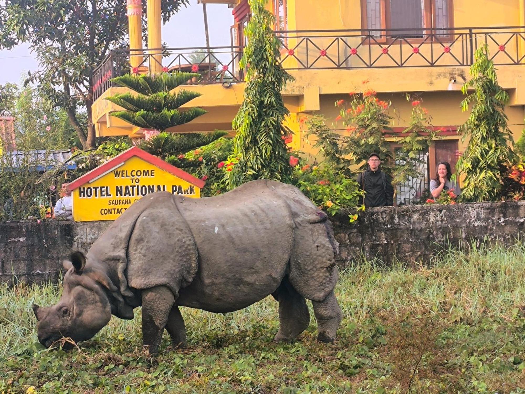 Hotel National Park Sauraha- Homely Stay And Peaceful Location With Jungle Safari Arrangements Exteriér fotografie